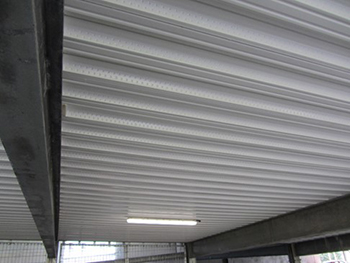 Building Systems UK ComFlor FD+