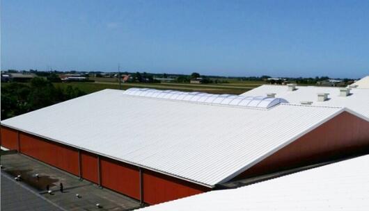 Breezand World Flower 12 main