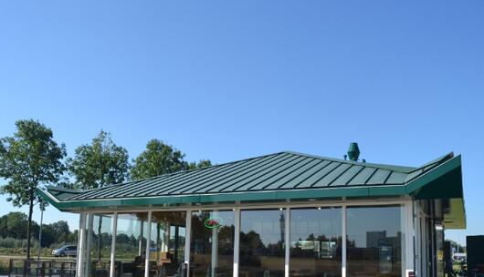 Subway Drive Thru 541 main