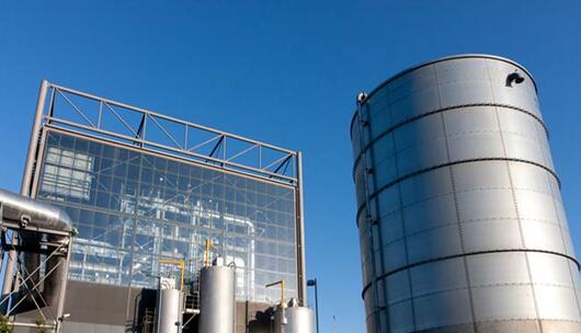 Waste plant jersey 3