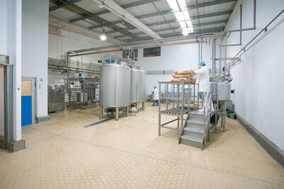 Loseley Ice Cream Factory