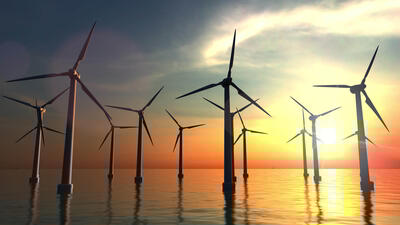 Rows of offshore wind turbines at sea