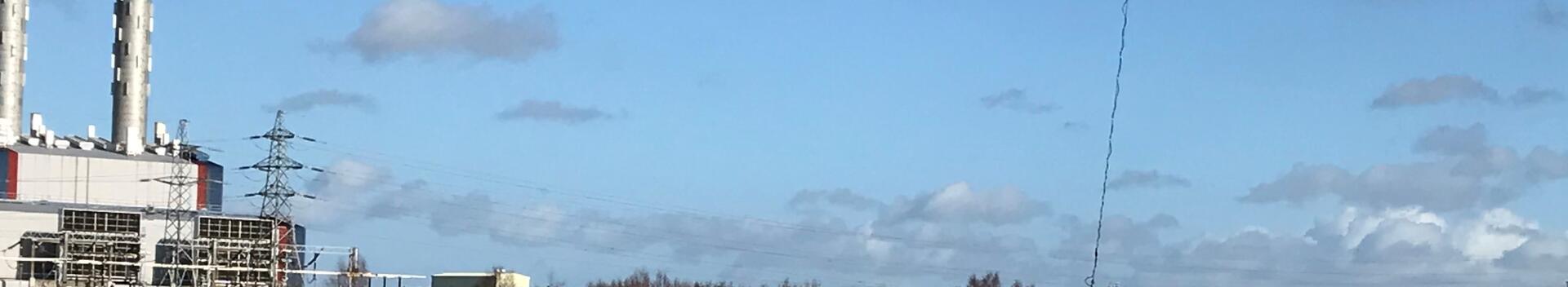 Seabird nesting site Tata Steel Wales