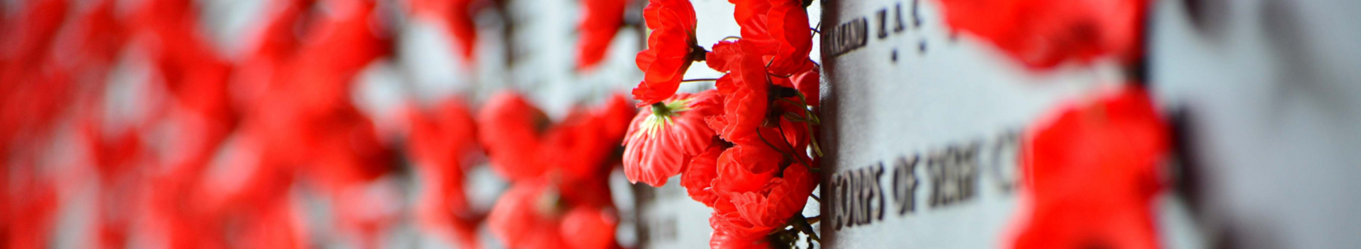 Poppies on memorial 