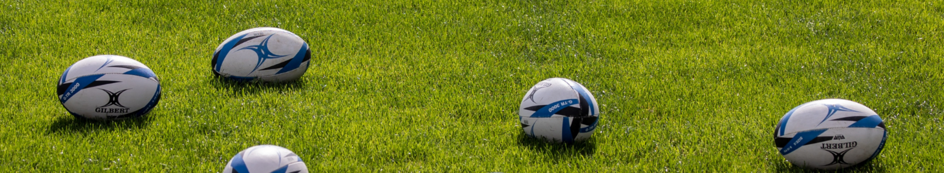Rugby balls on grass