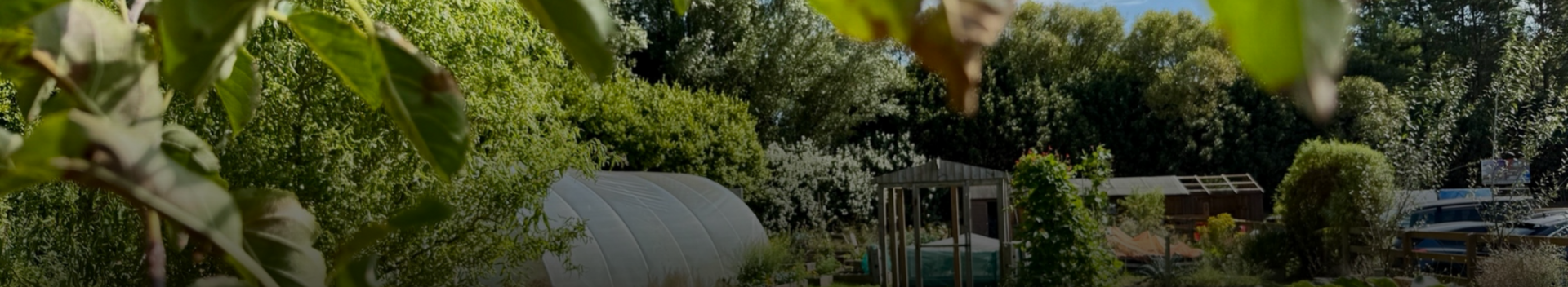Foothold cymru community garden banner
