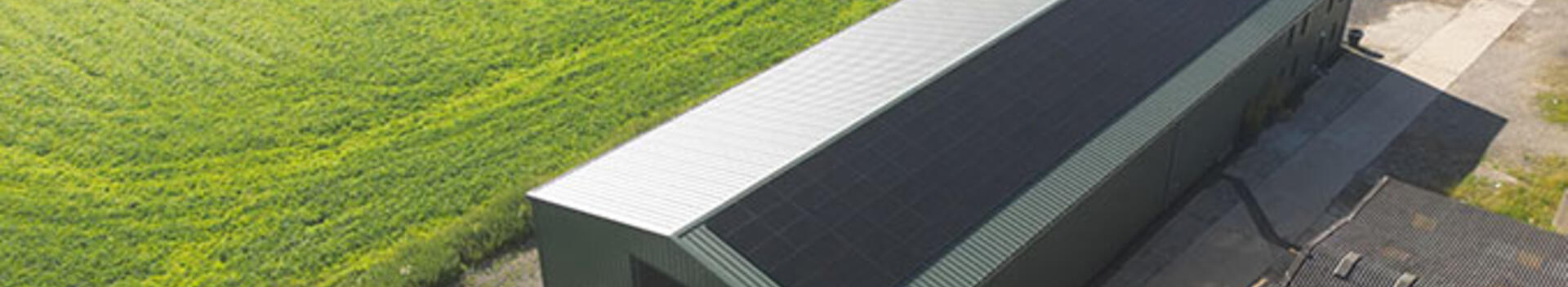 Sarah Benney farm above