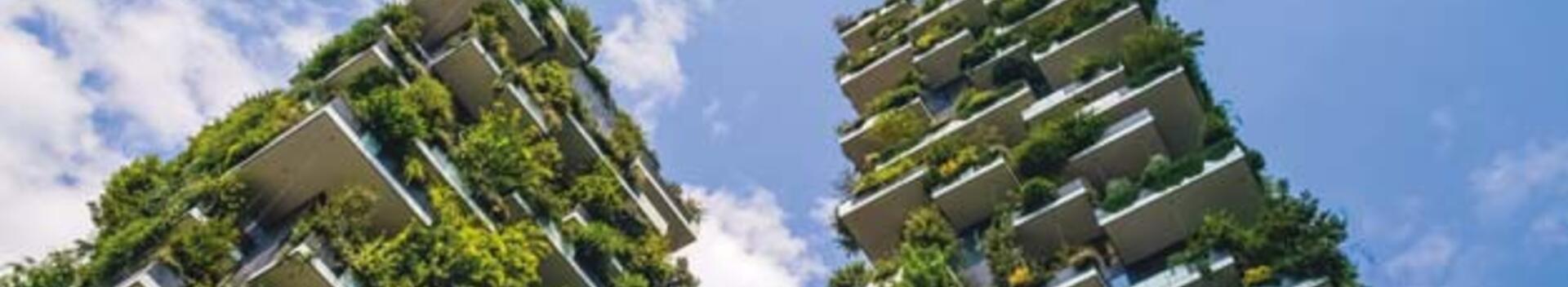 Sustainability blog