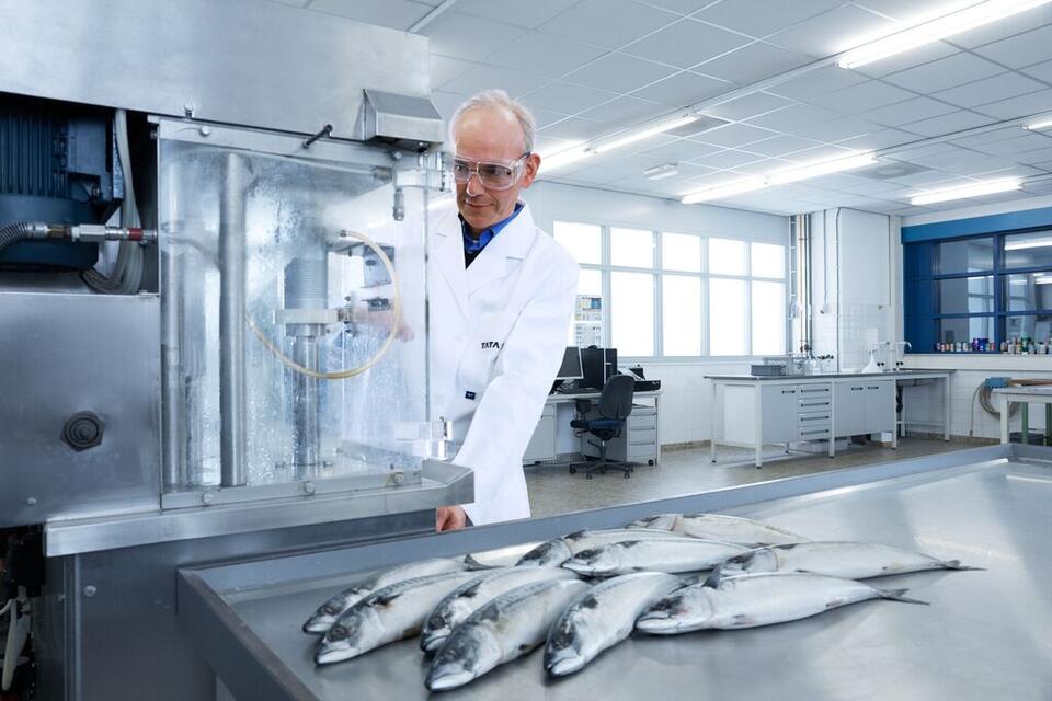 We have the facilities to fill, seam, process and store cans We have the facilities to fill, seam, process and store cans