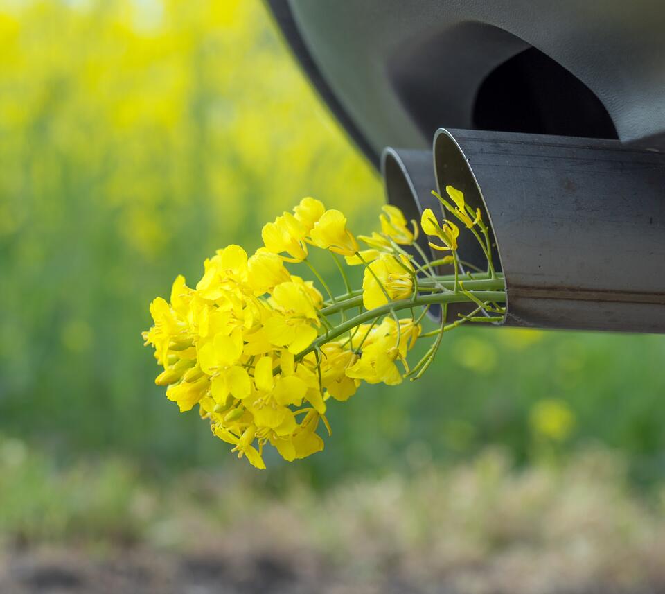 Reduced tailpipe emissions Reduced tailpipe emissions