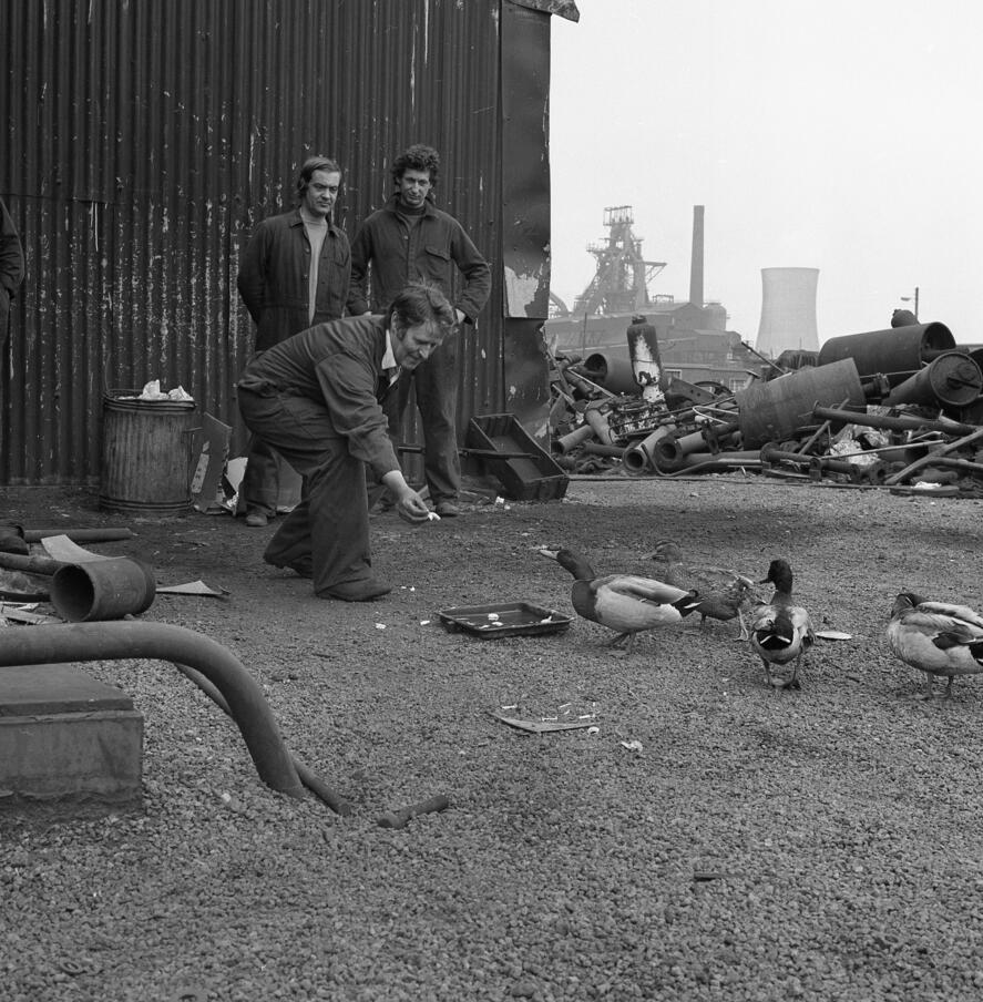 archive steel news archive steel news