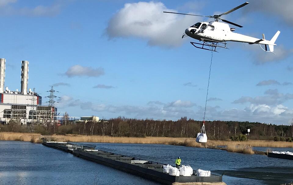 Seabird nesting site Tata Steel Wales