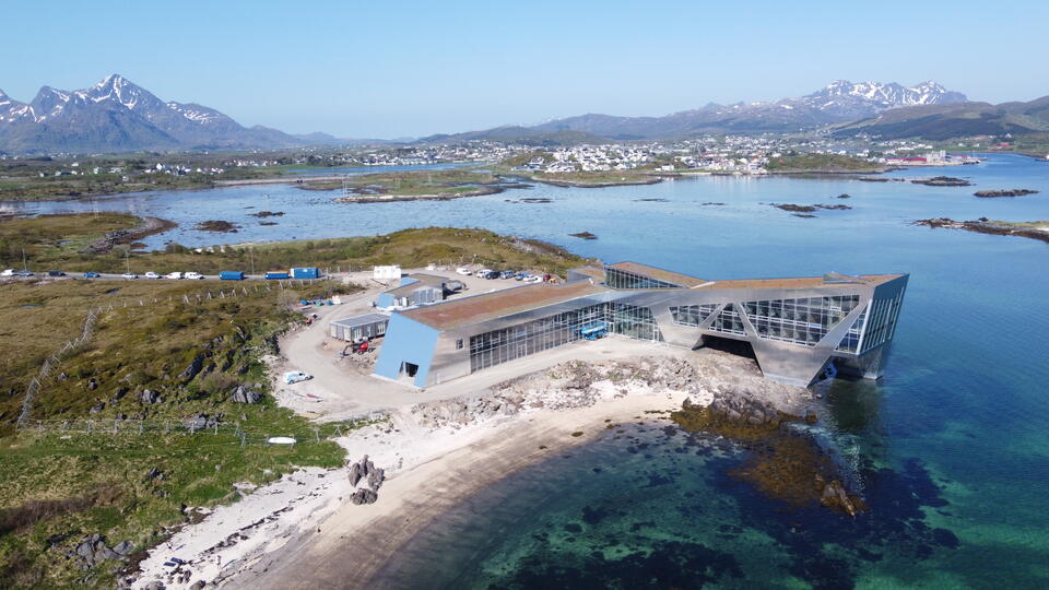 STIM Lofoten 4