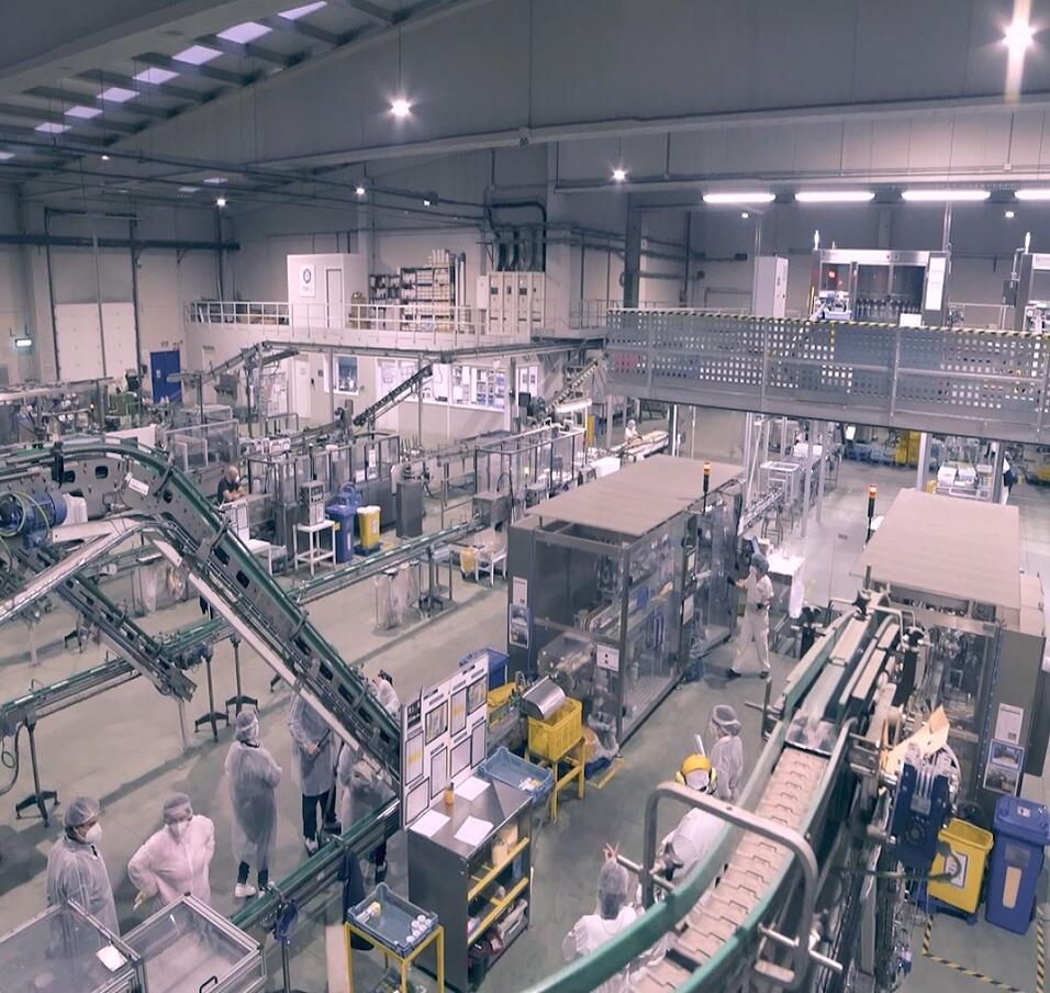 Calvo Vuelca Facil factory