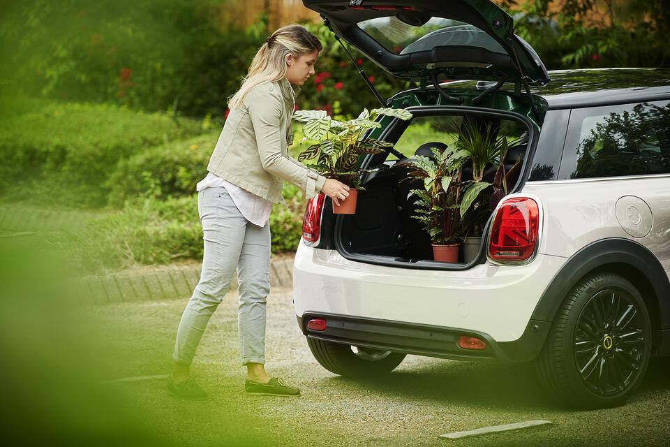 Electrification Mini inner outer