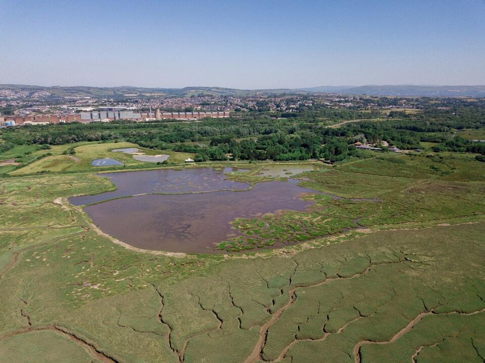 WWT wetlands art Llanelli