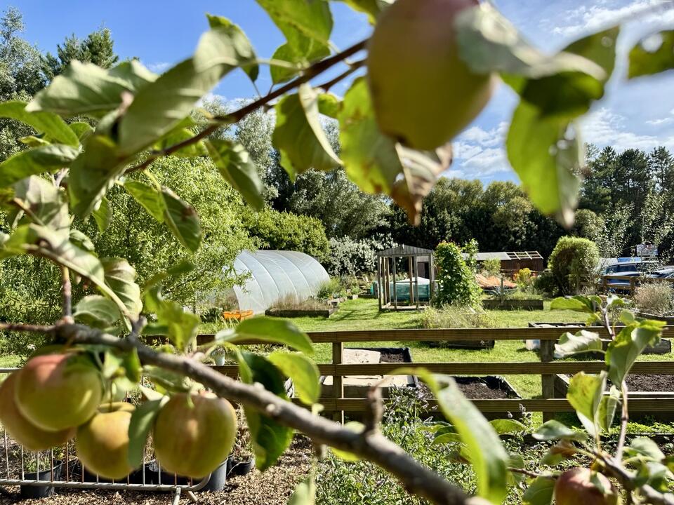 Foothold Cymru community garden