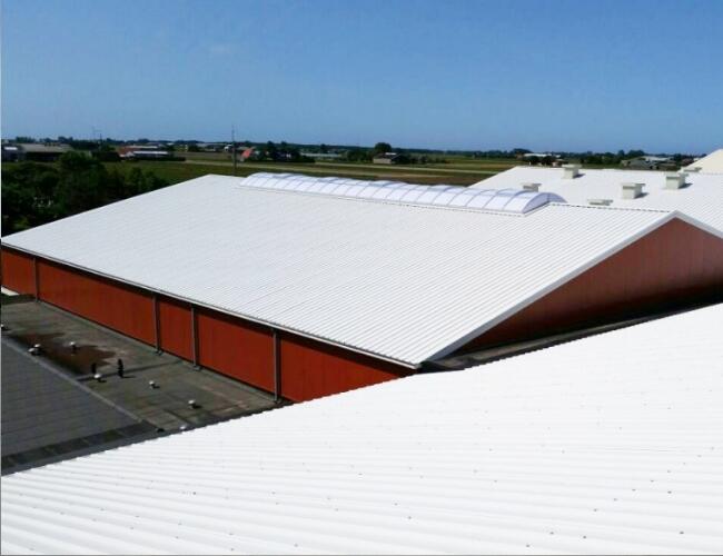 Breezand World Flower 12 main