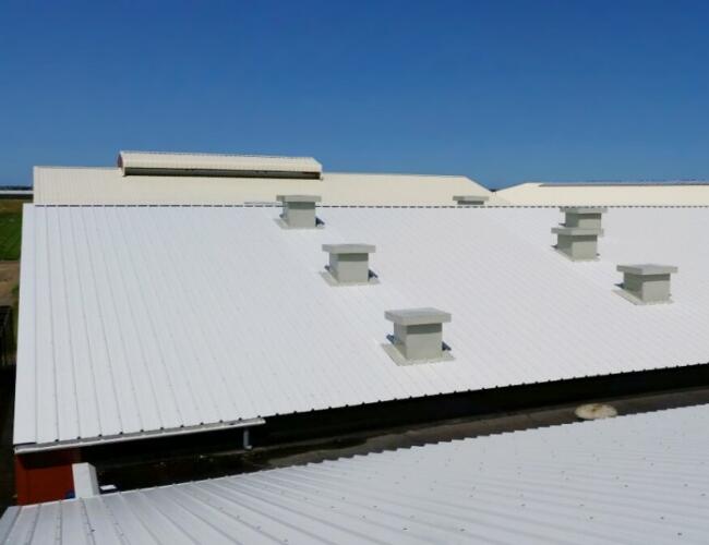 Breezand World Flower 19 main