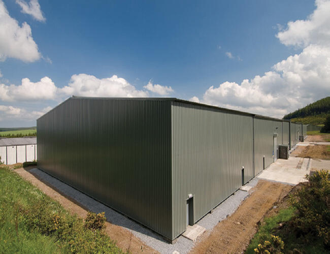 Chivas Bros Case Study 3