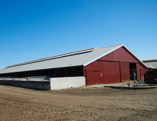 Hestbjerg Pig Farm image 1