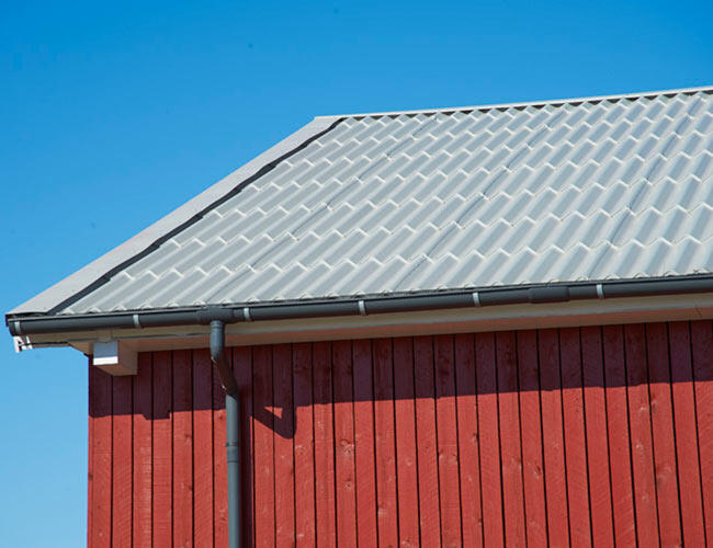 Hestbjerg Pig Farm image 2