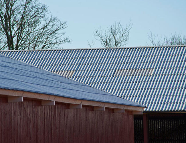 Hestbjerg Pig Farm image 3