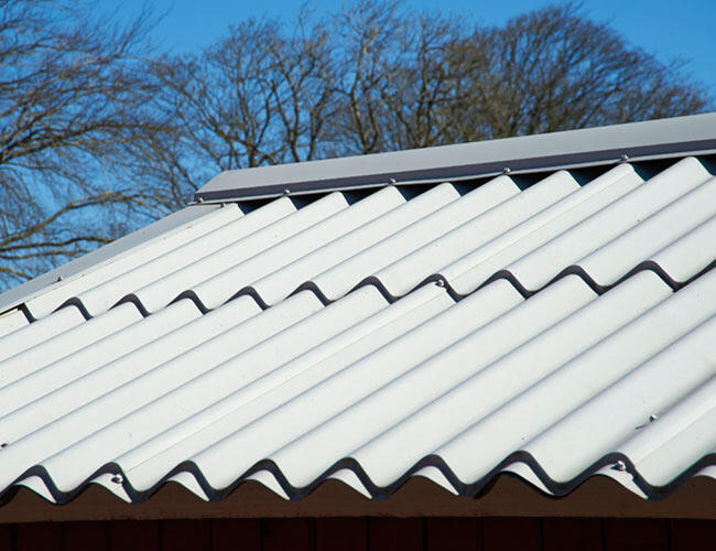 Hestbjerg Pig Farm image 4