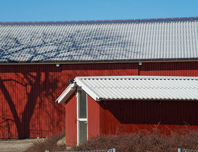 Hestbjerg Pig Farm image 5