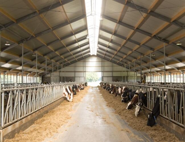 MMR6887Platerink Hardeman isolatie main