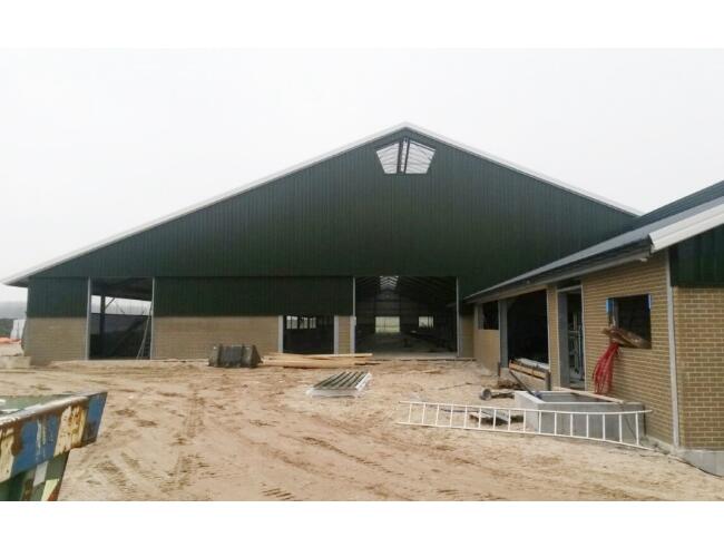 Rameijer Lelystad 6 main