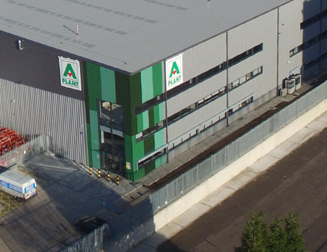 RugbyGReenMAIN