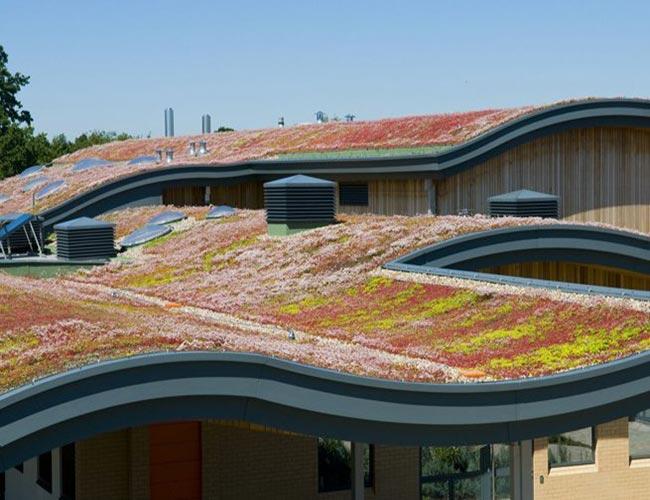 Tata Steel TV   DSC1490