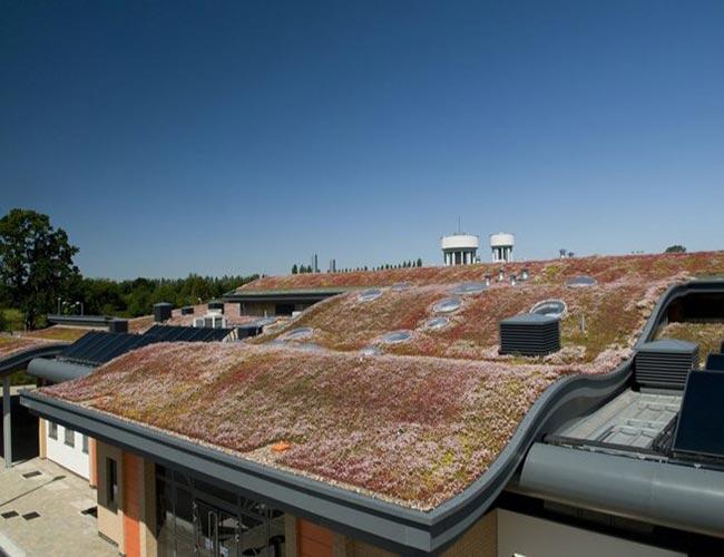 Tata Steel TV   DSC1528 (1)