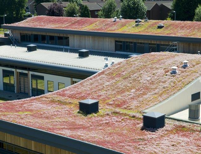 Tata Steel TV   DSC1568