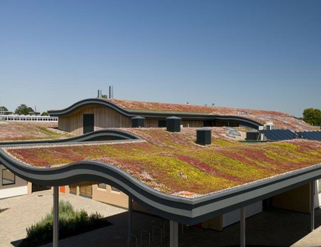 Tata Steel TV   DSC1591