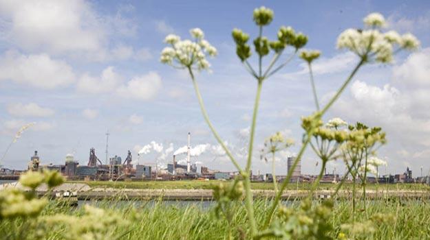 responsible sourcing 2a