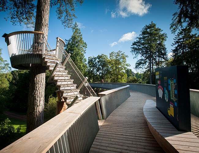 tata westonbirt 0094 res